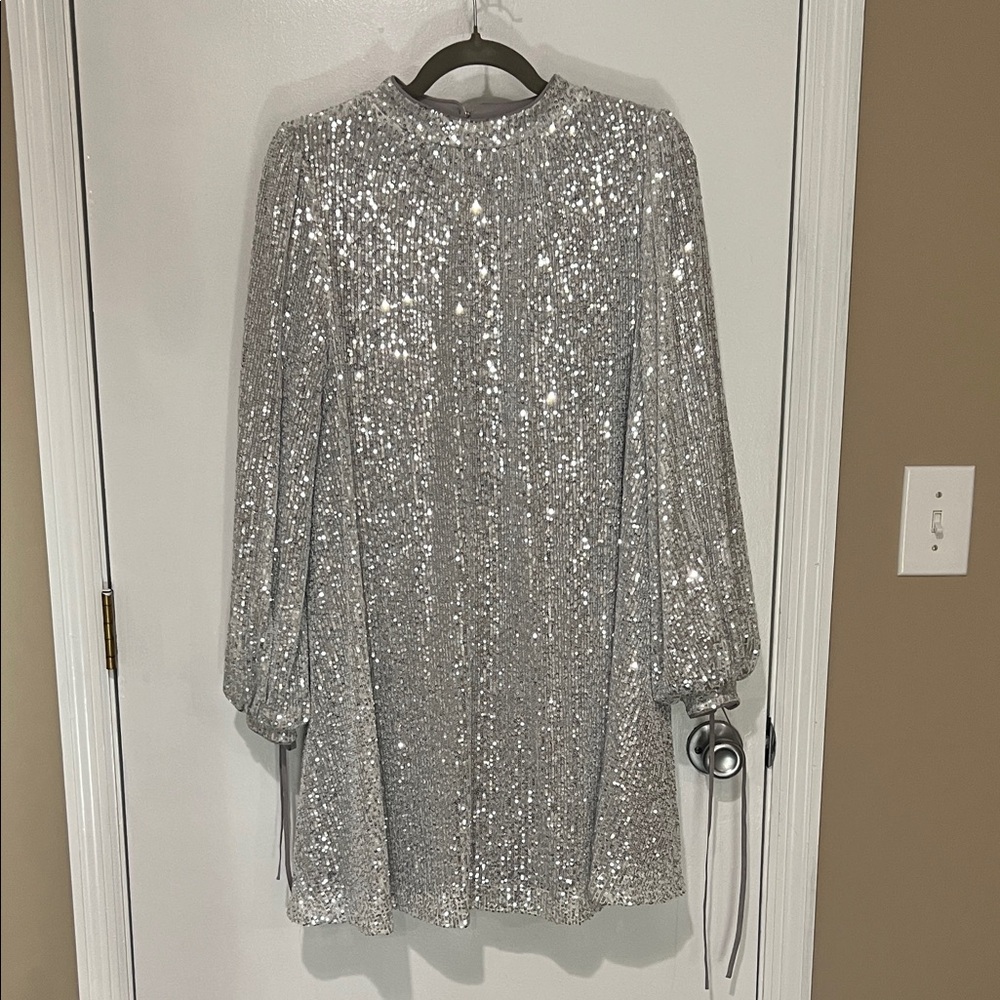 Badgley Mischka Belle Sequin Dress